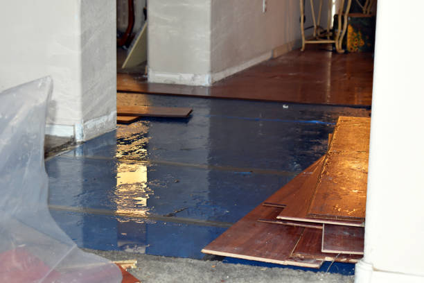 Professional Water Extraction technician working in Centertown, MO